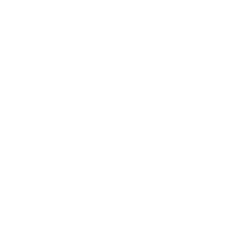 Role-Based Access Icon