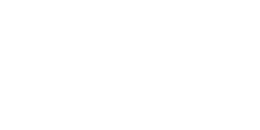 The Tribune